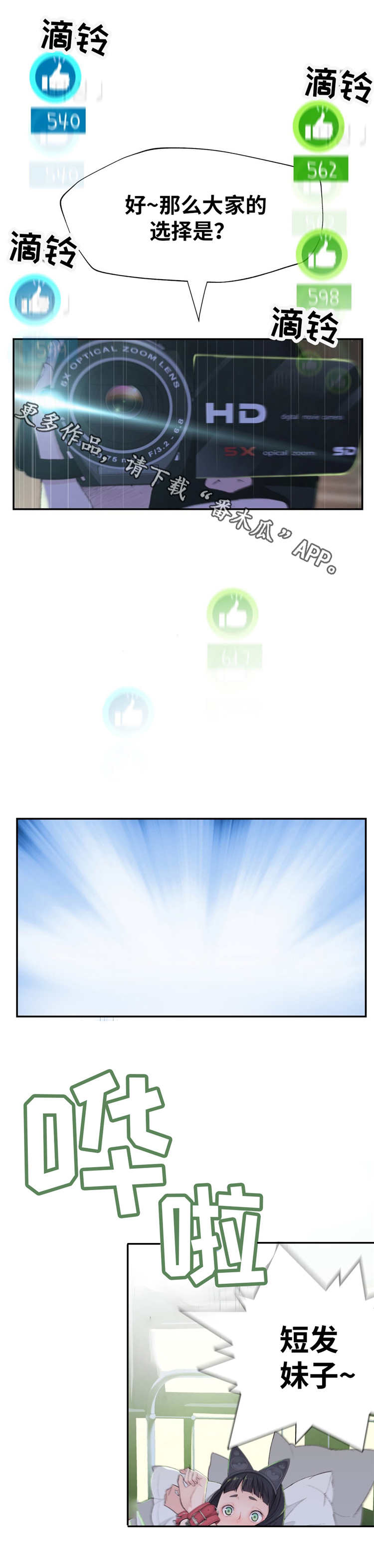 第12章：投票11