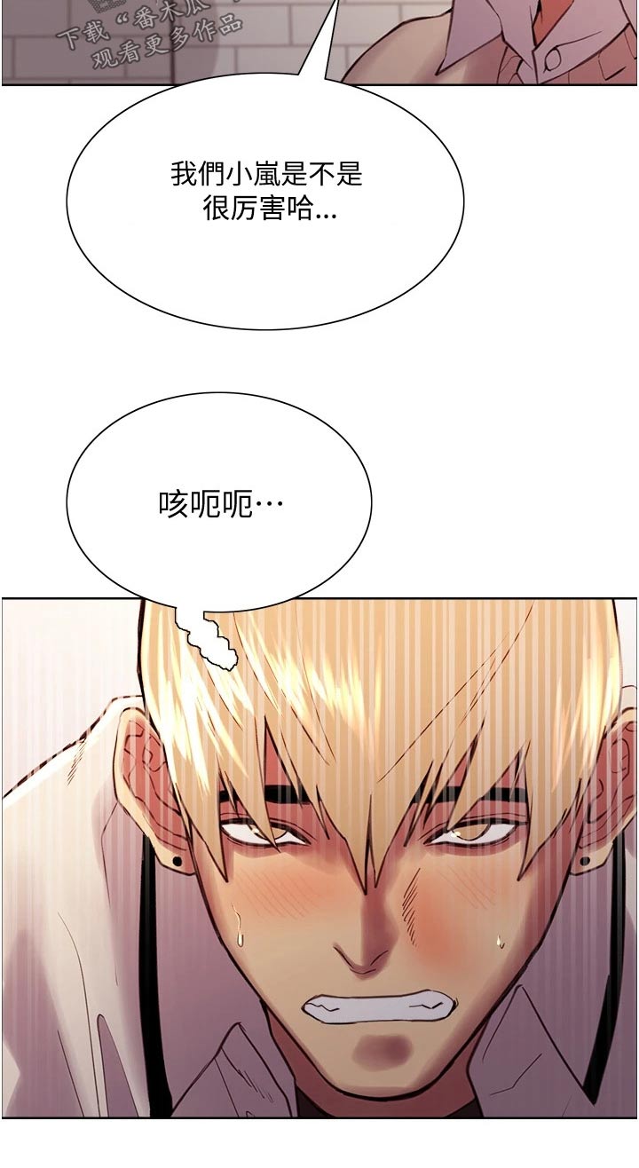 第19章：提升20