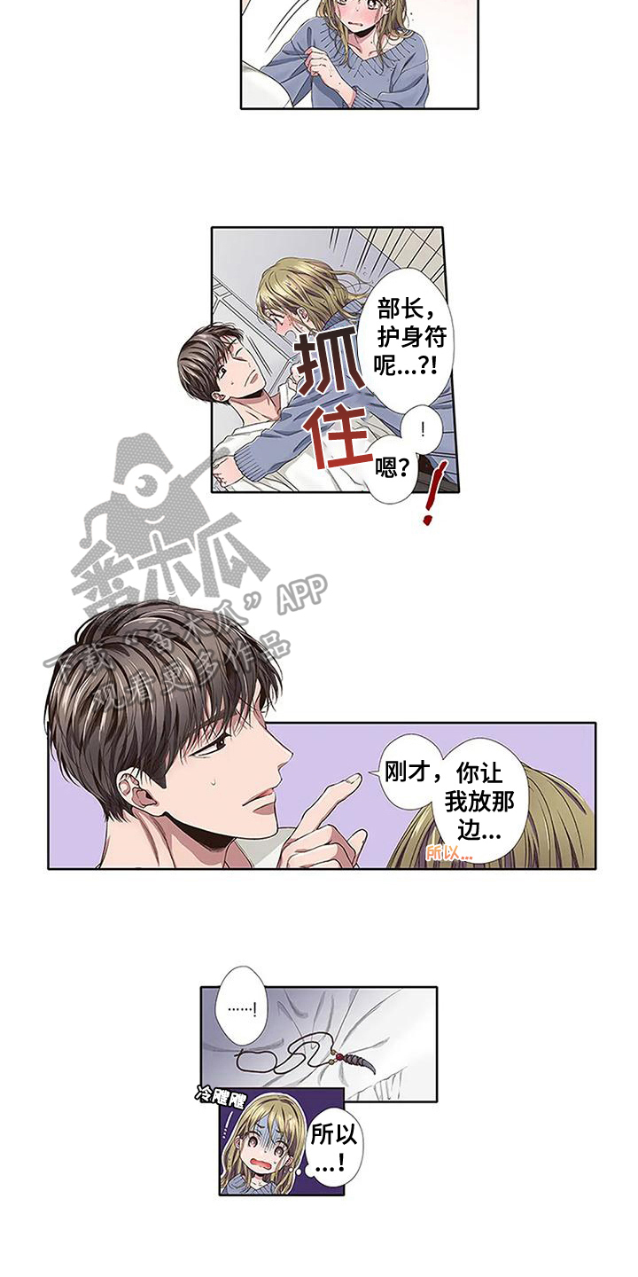第16章：护身符10