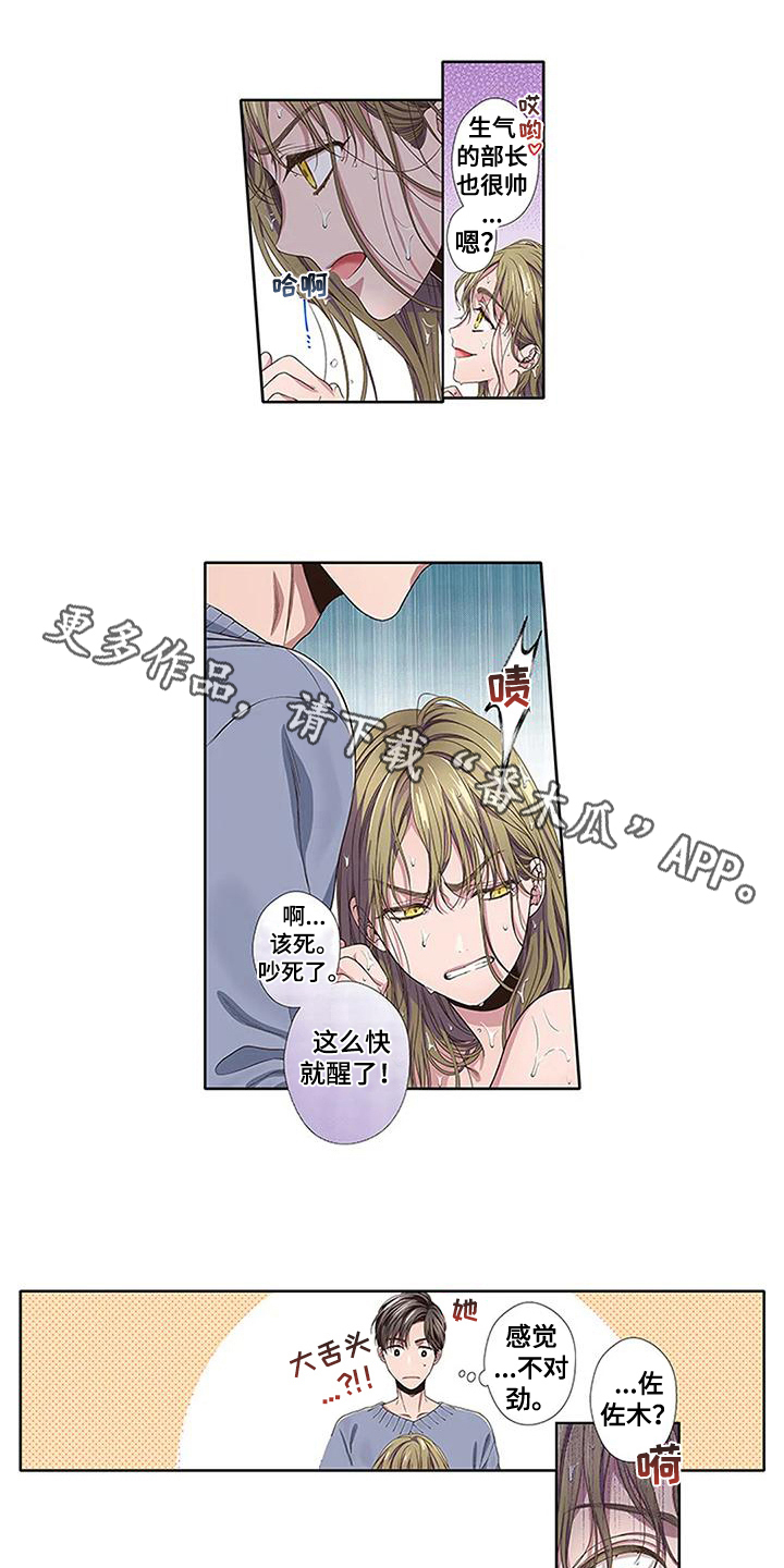 第16章：护身符0