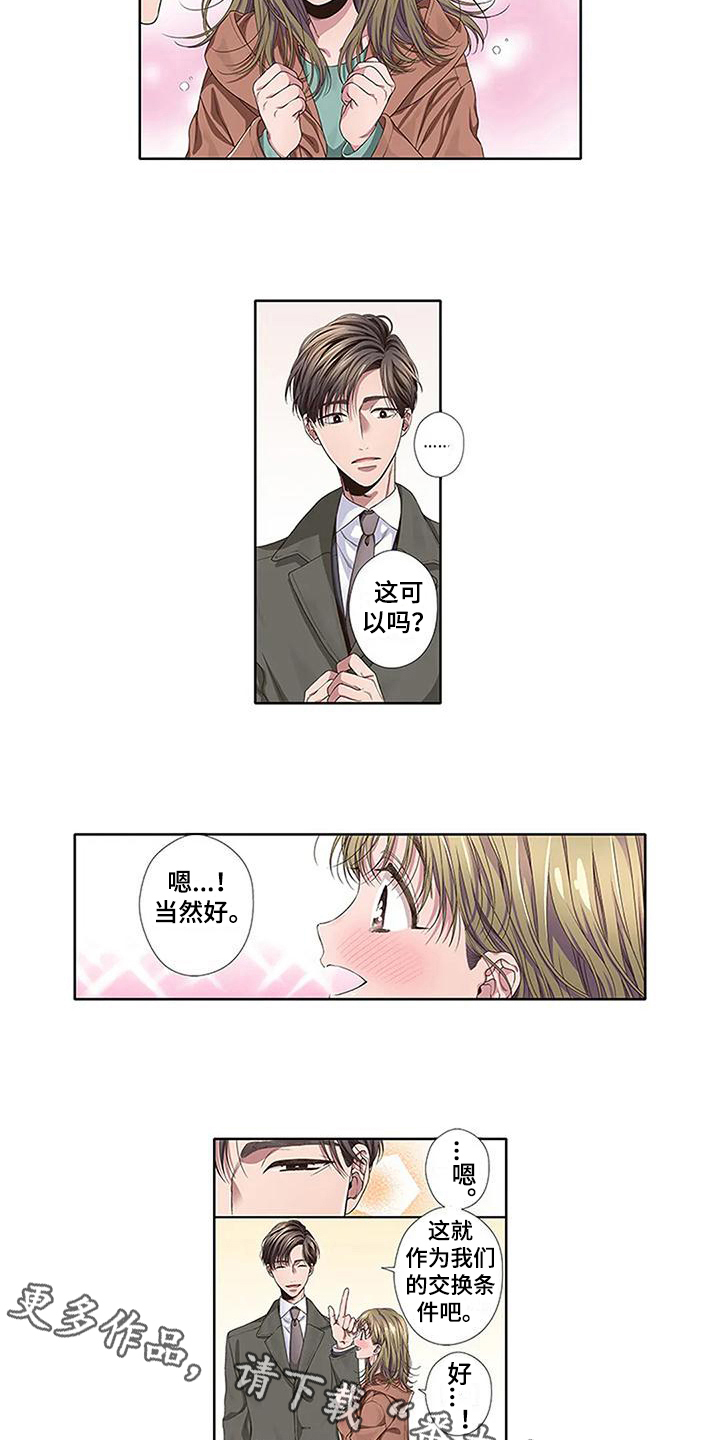 第13章：交换条件11