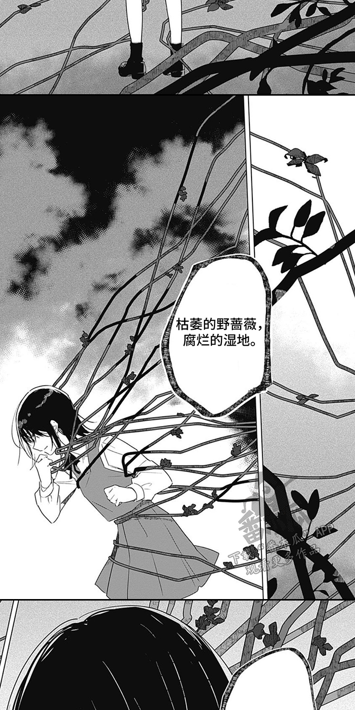第5章：身临其境2