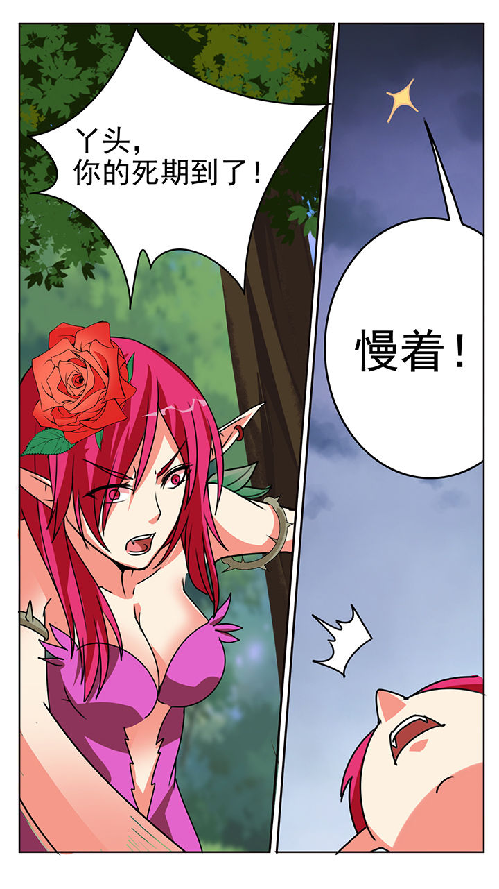 第52章：5