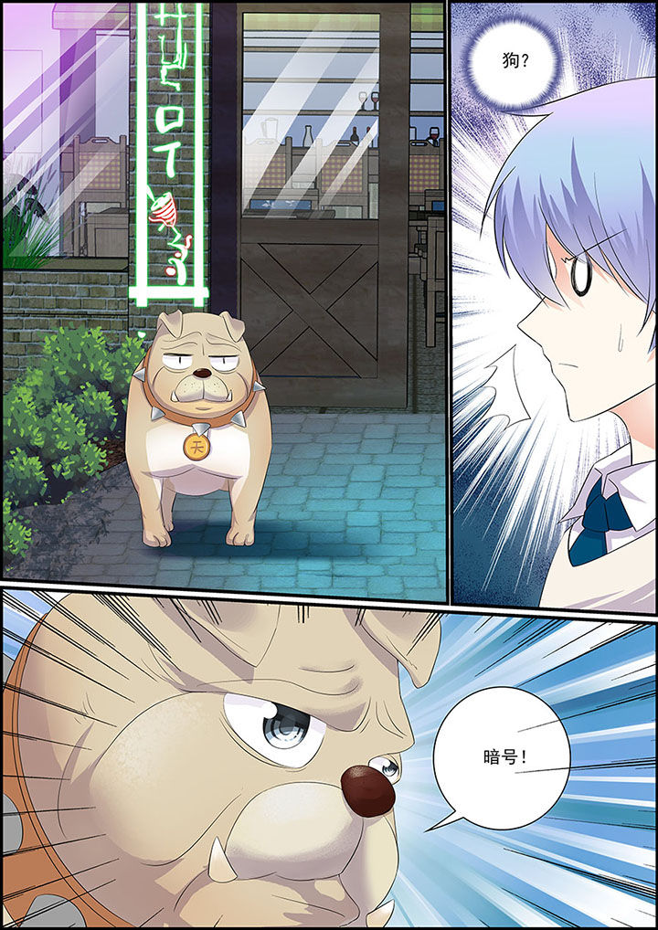 第12章：3