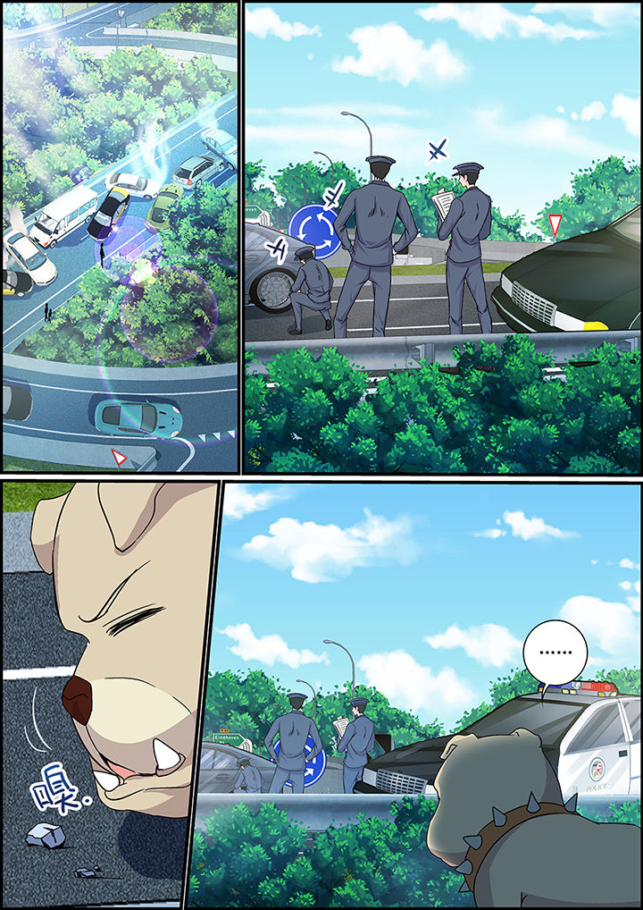 第82章：6