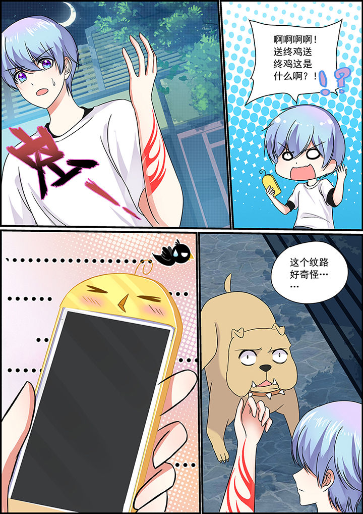 第62章：3