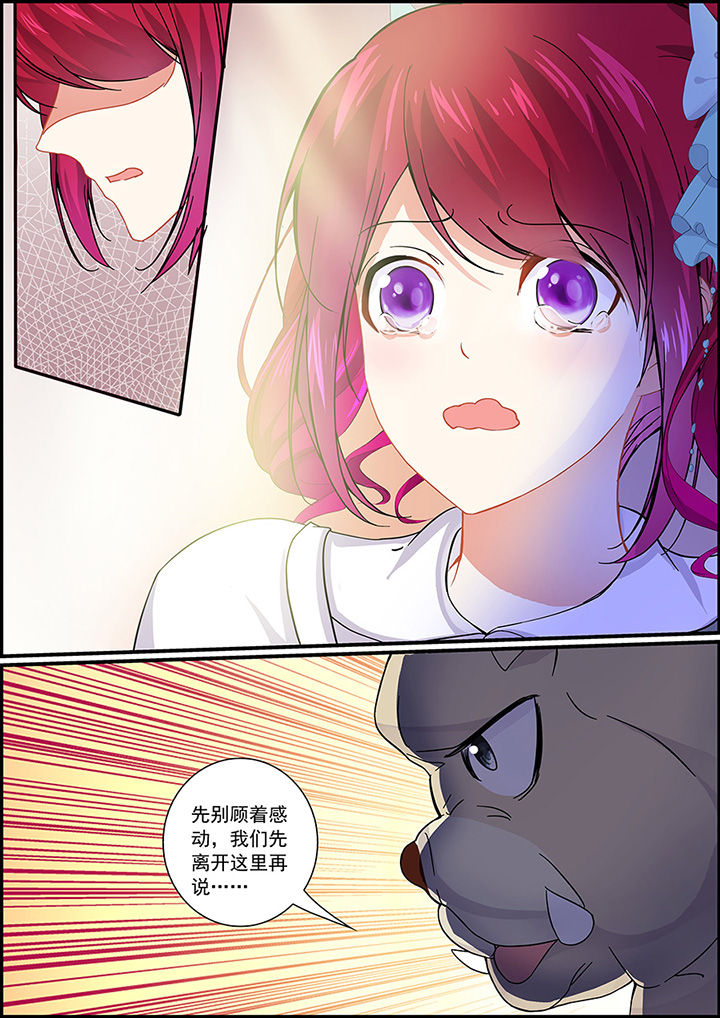 第31章：6