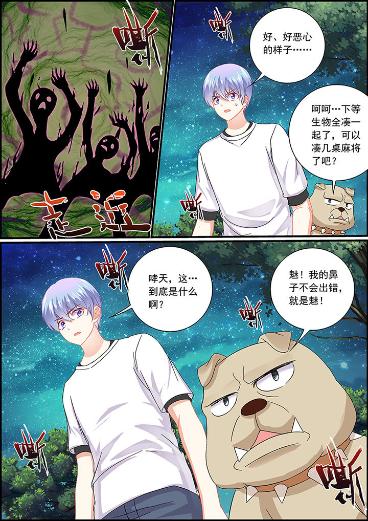 第51章：6