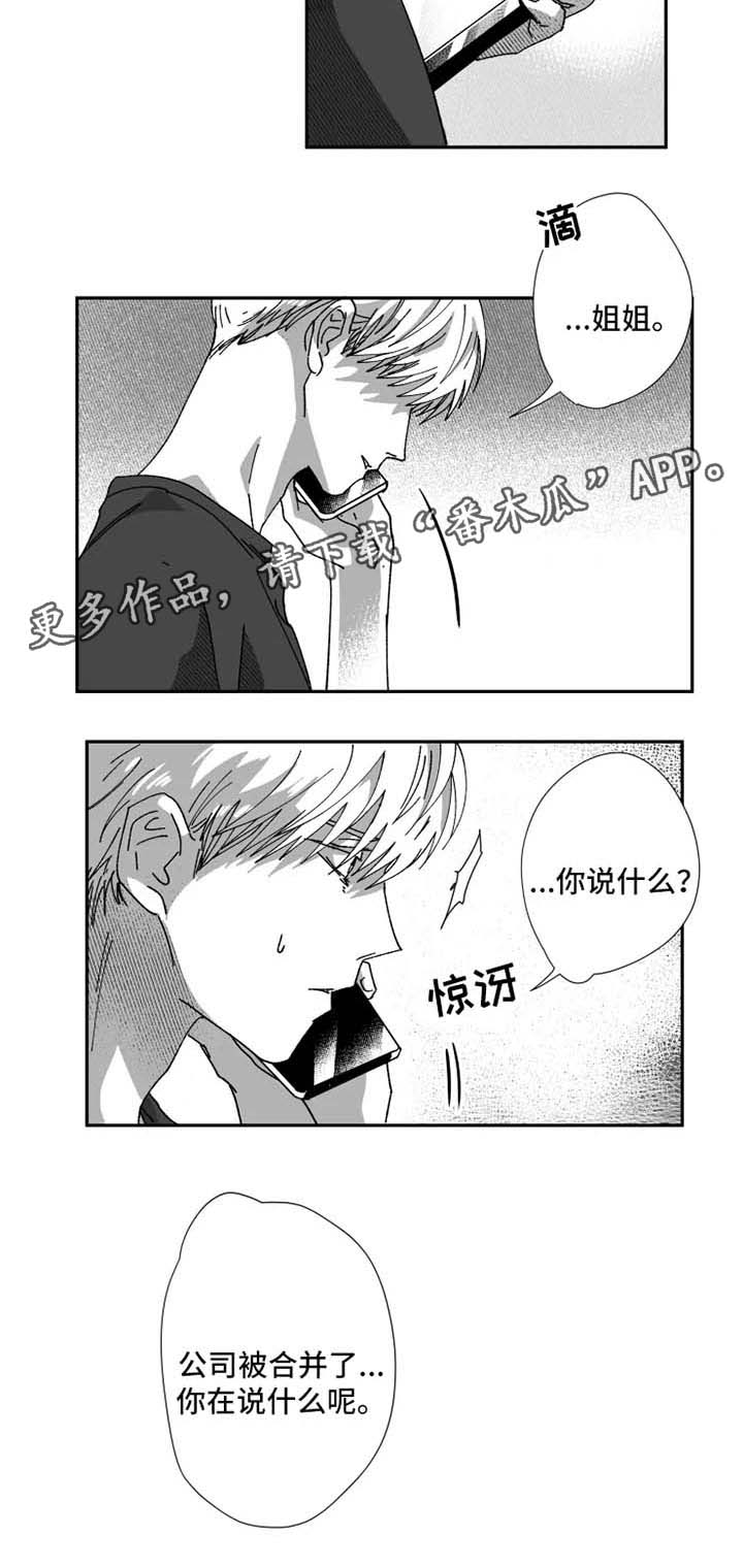 第28章：公司合并5
