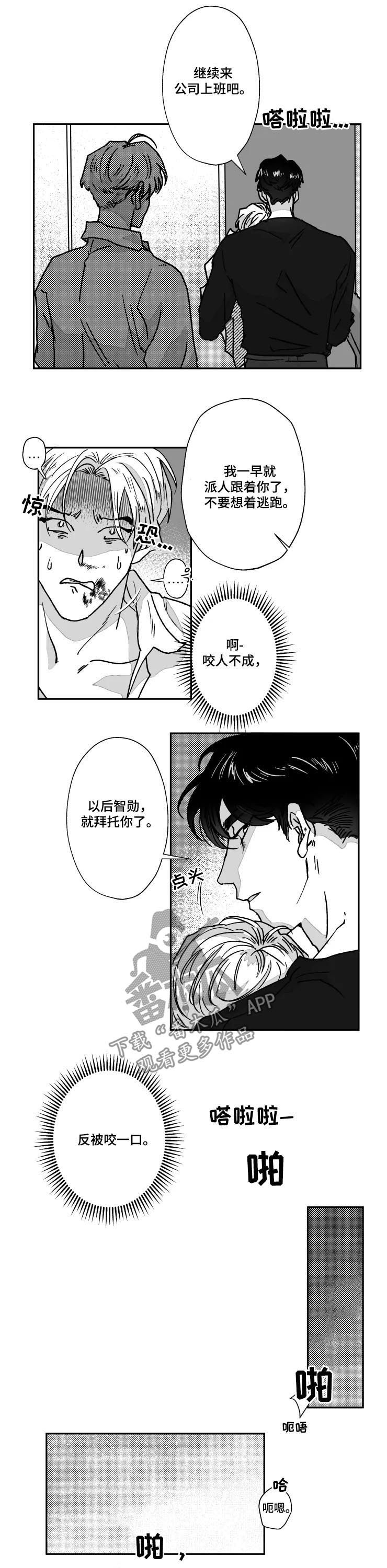 第65章：反被咬一口6