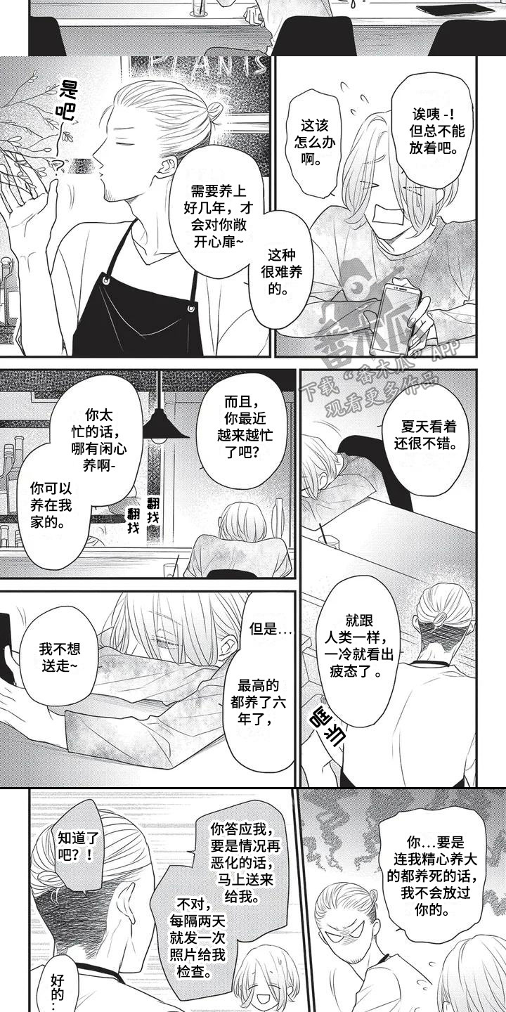 第5章：触动心扉 5