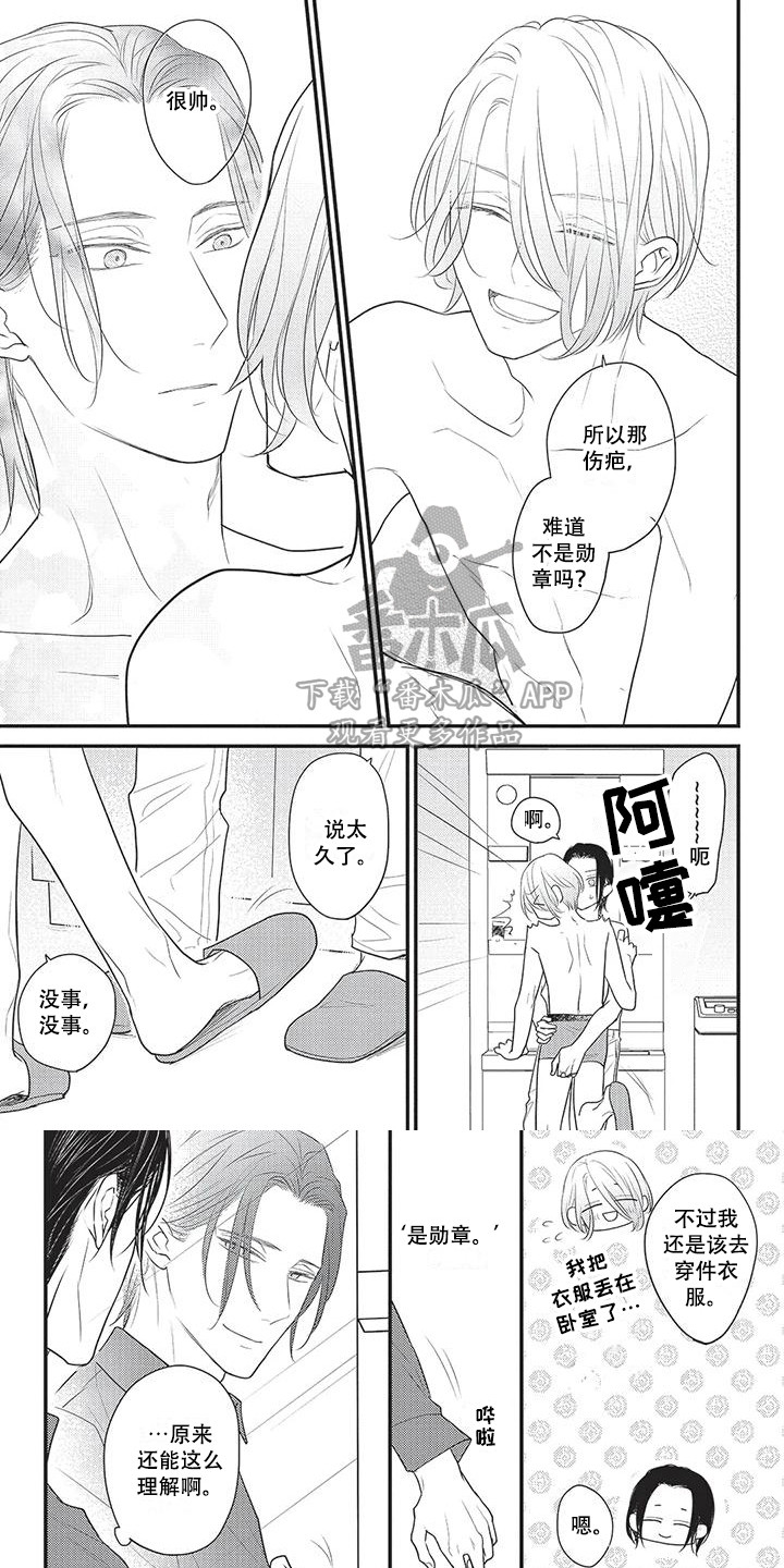 第18章：勋章 6
