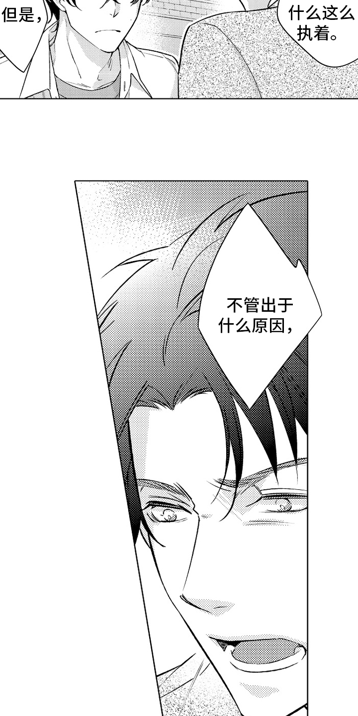 第17章：同样的想法12