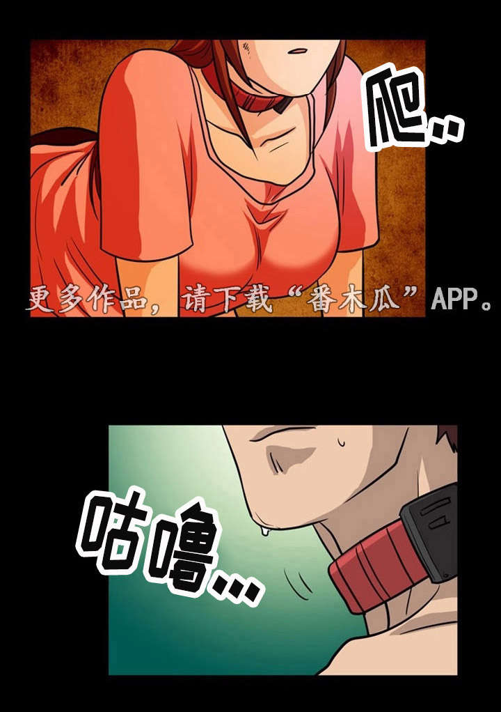 第12章：地下室13
