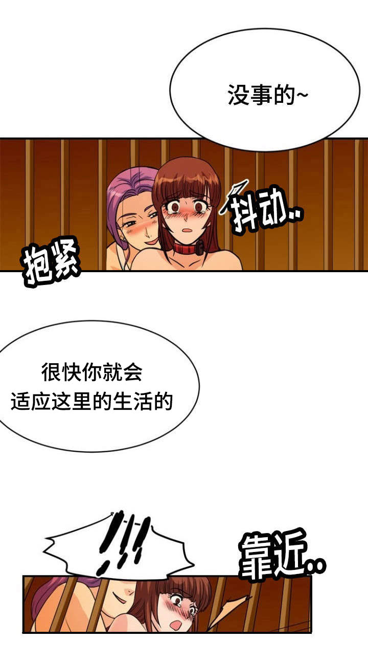 第14章：沉迷1