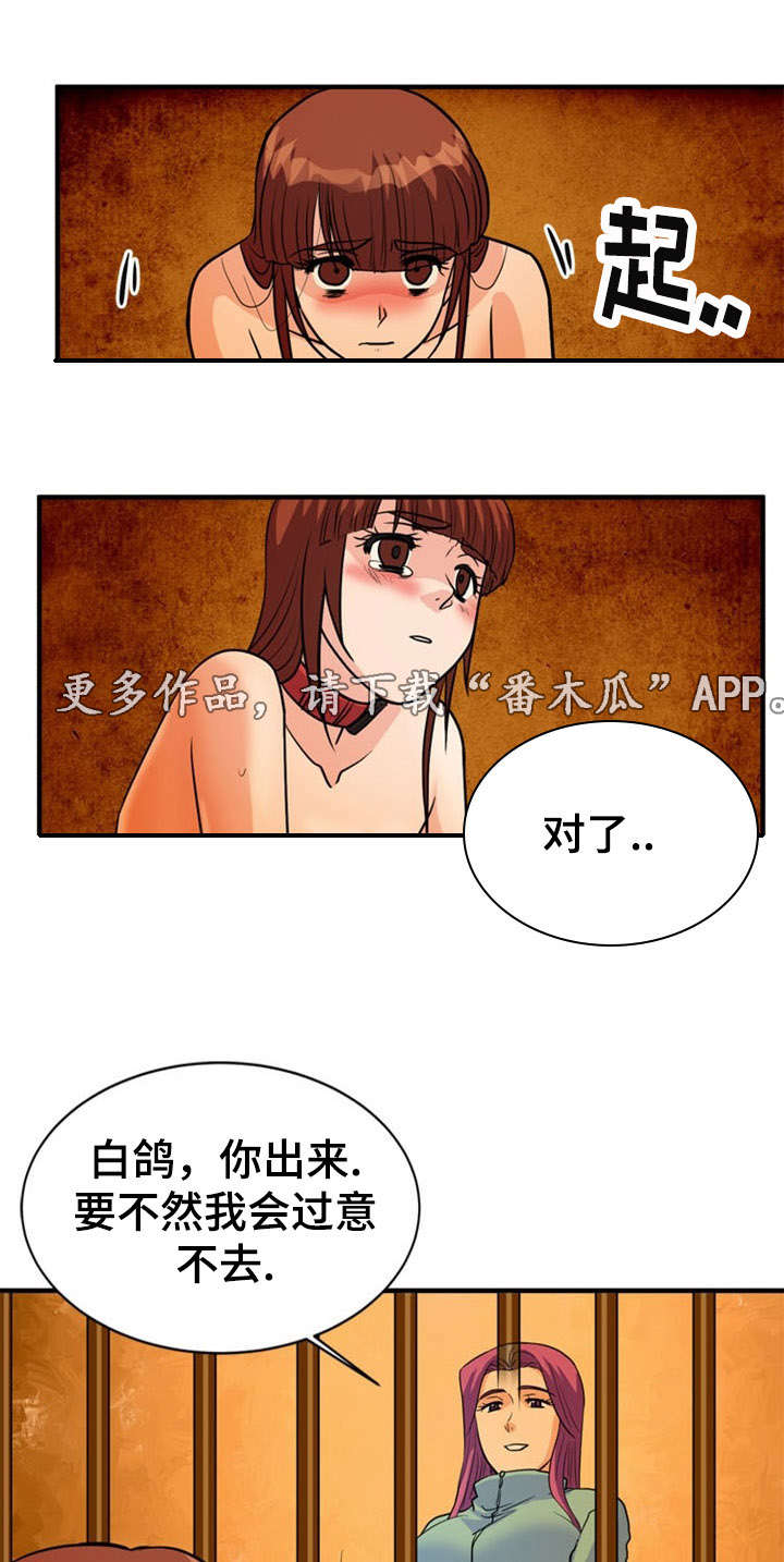 第24章：建议6