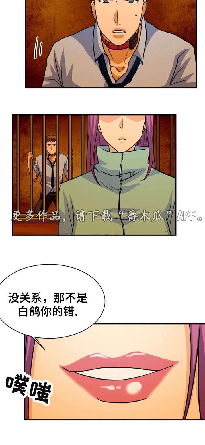 第24章：建议3