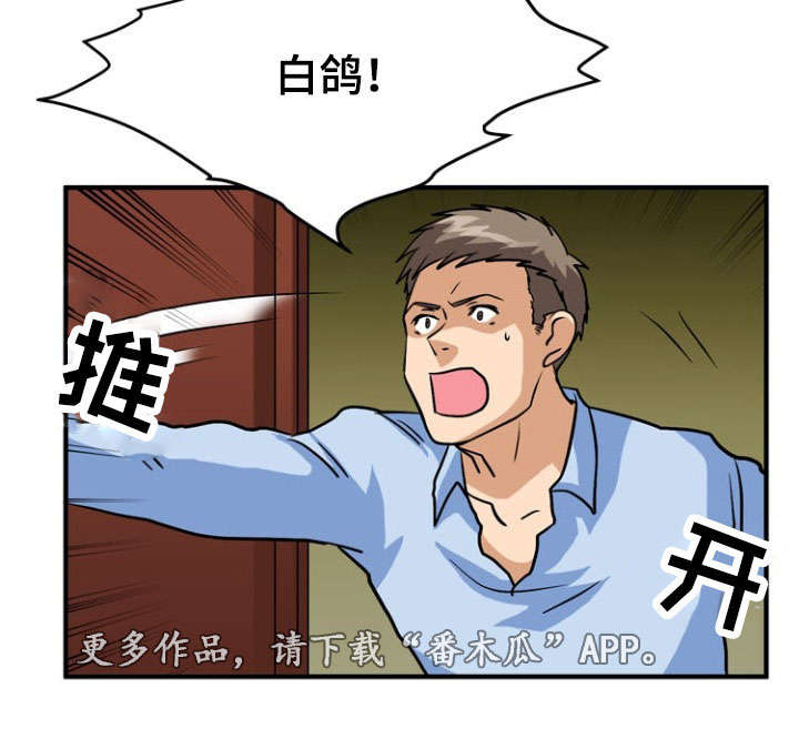 第53章：猜测13