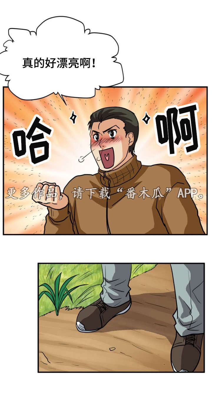 第29章：相遇10