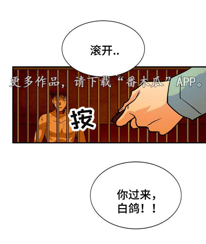 第24章：建议5