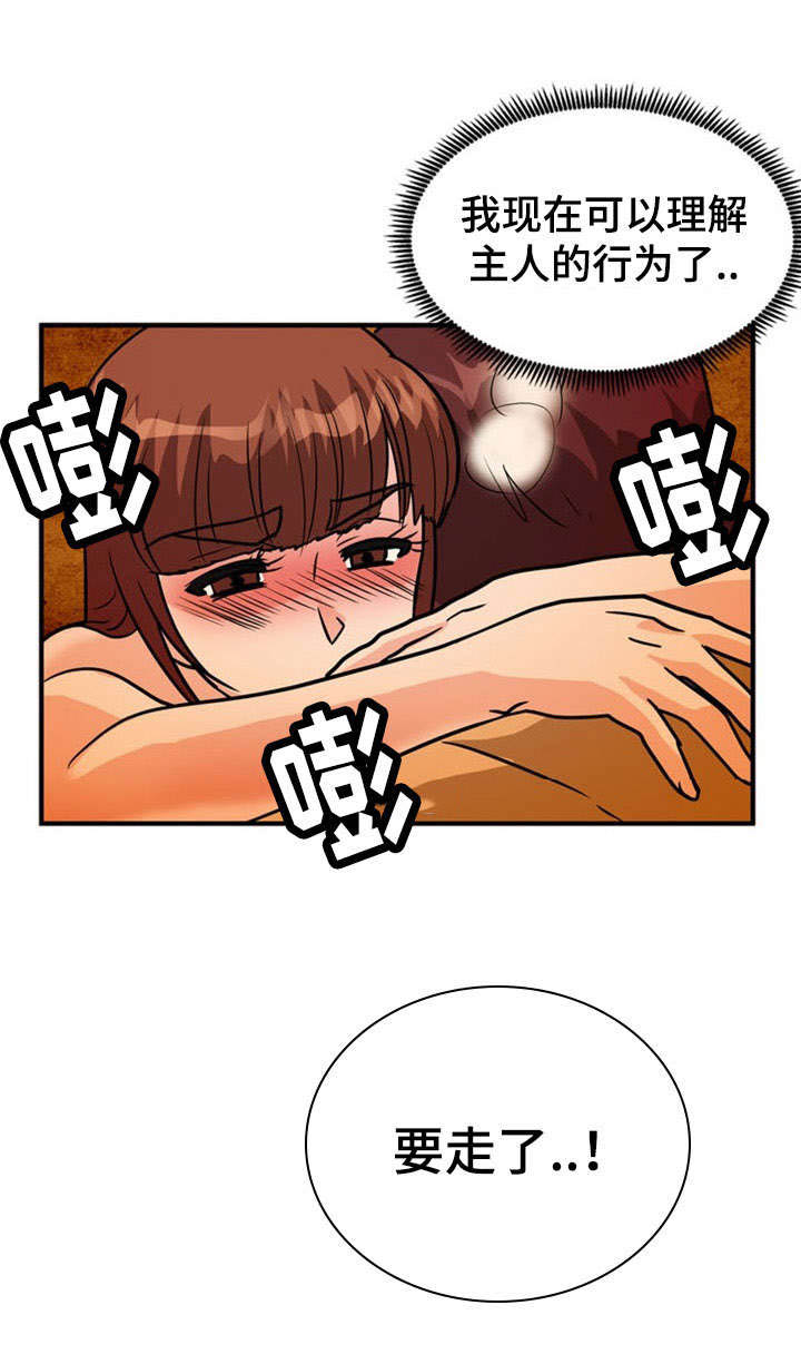 第15章：古怪11