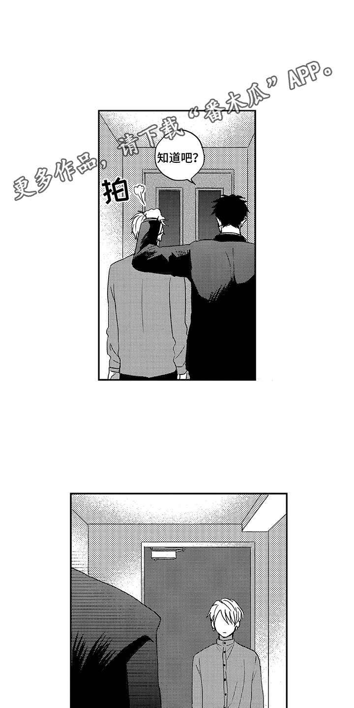 第11章：追加选项5