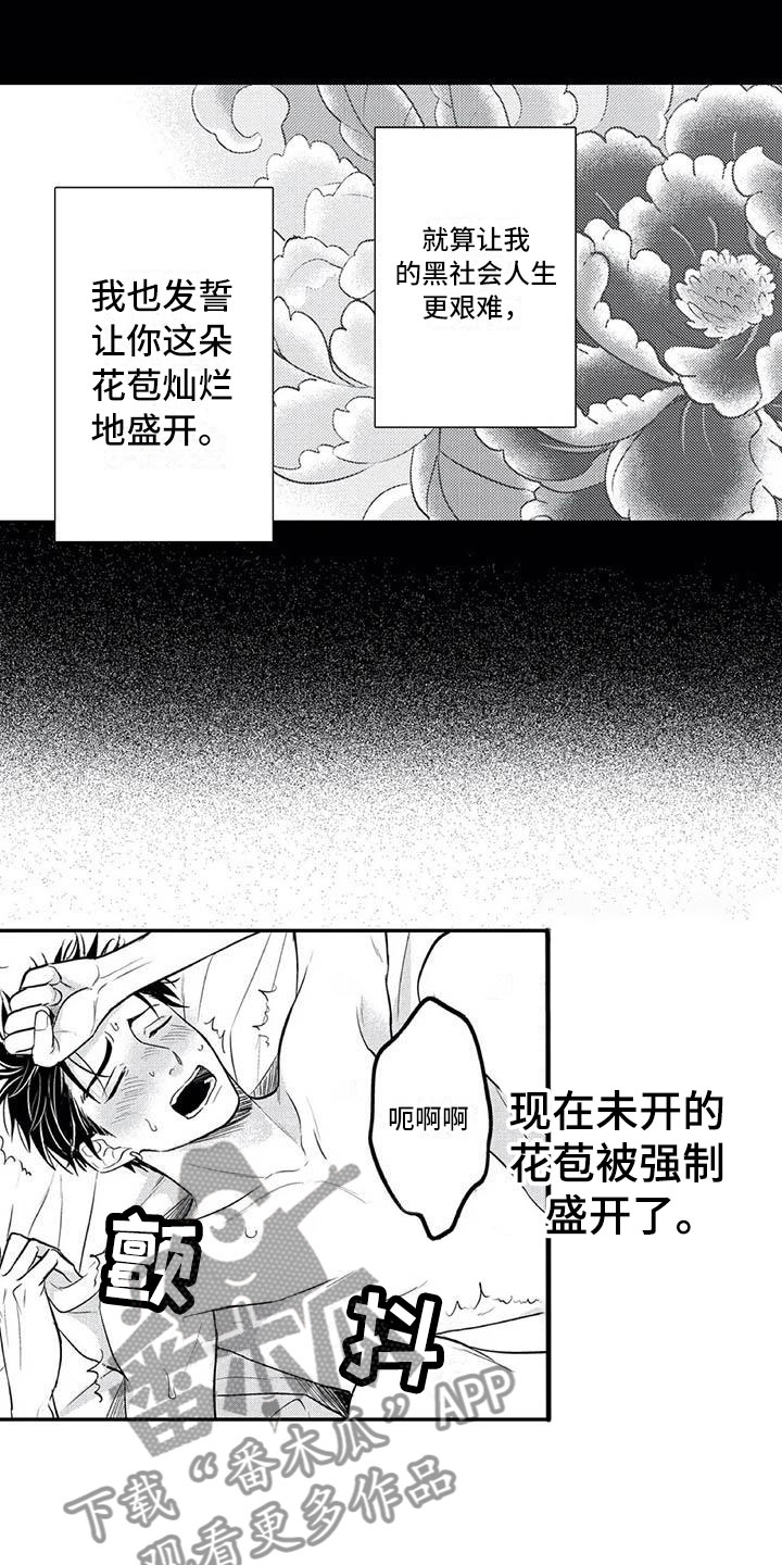 第18章：花苞盛开9