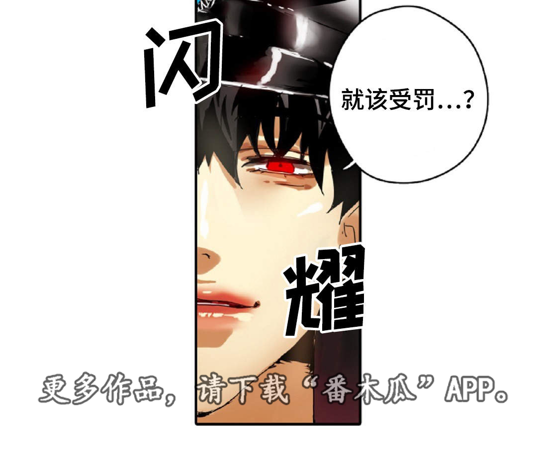第16章：原则11