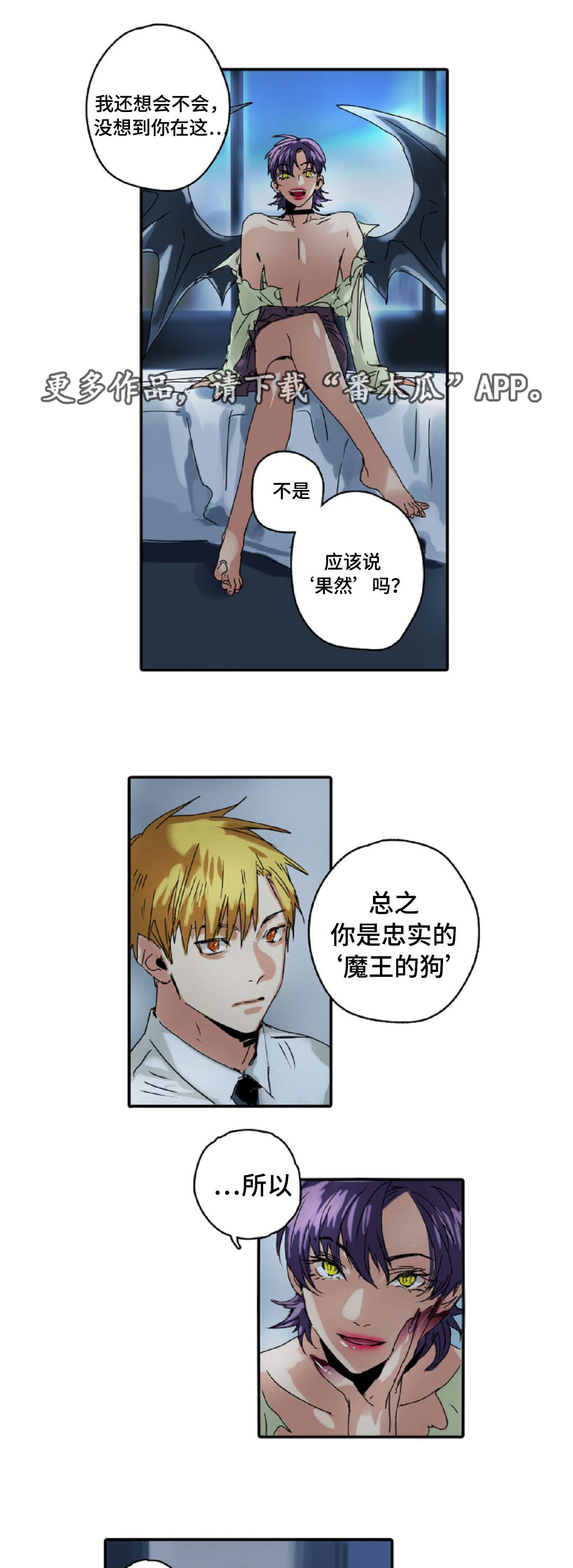 第11章：手下5