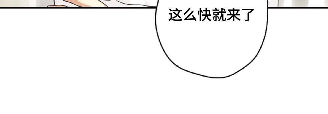 第13章：守护12