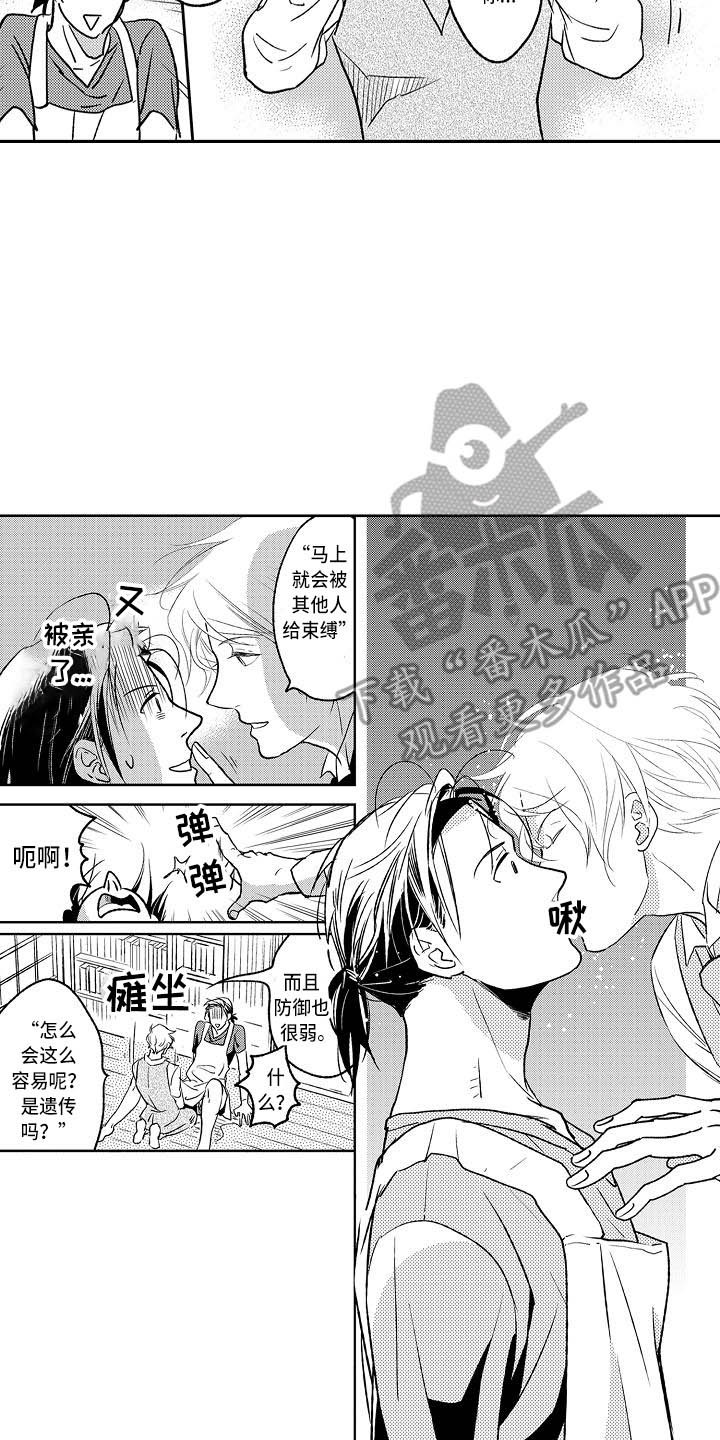 第6章：书柜13