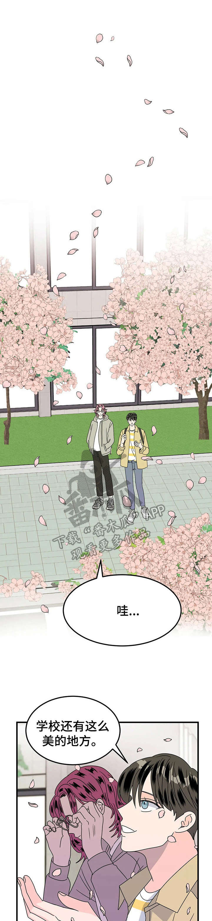 第24章： 赏花0