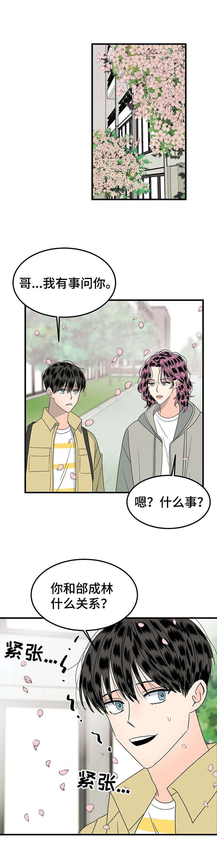 第25章：询问1