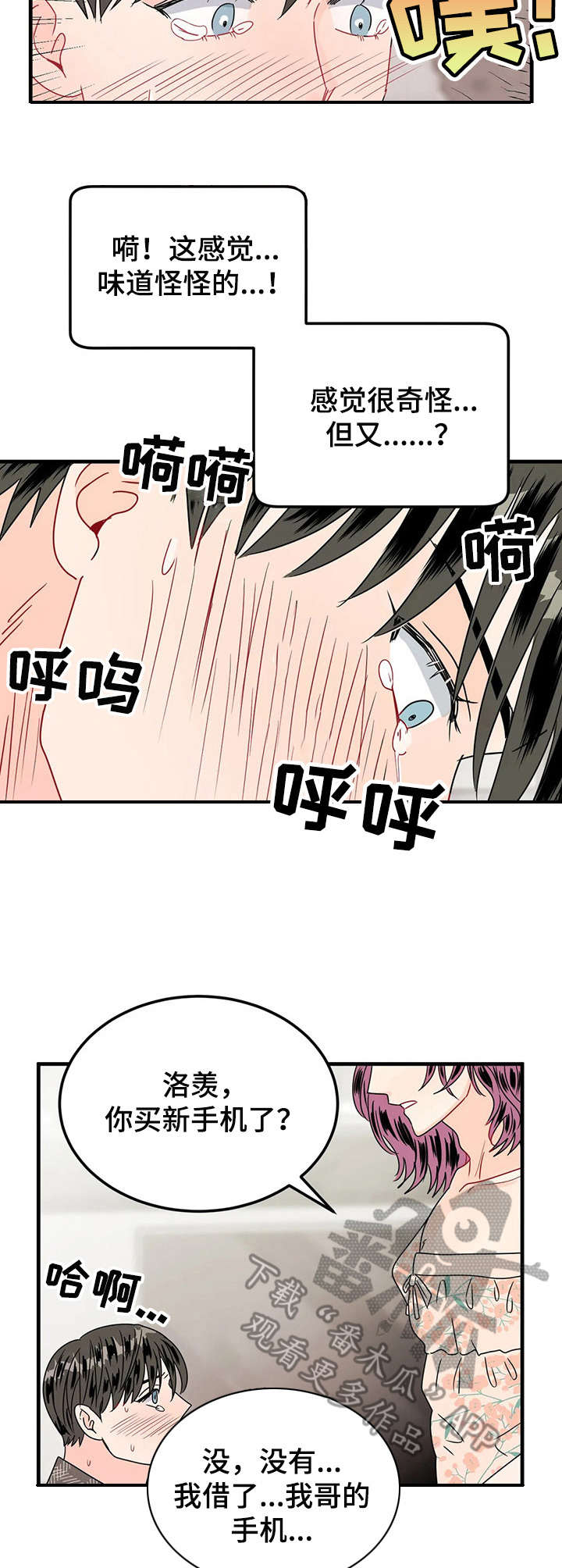 第21章：撕碎2