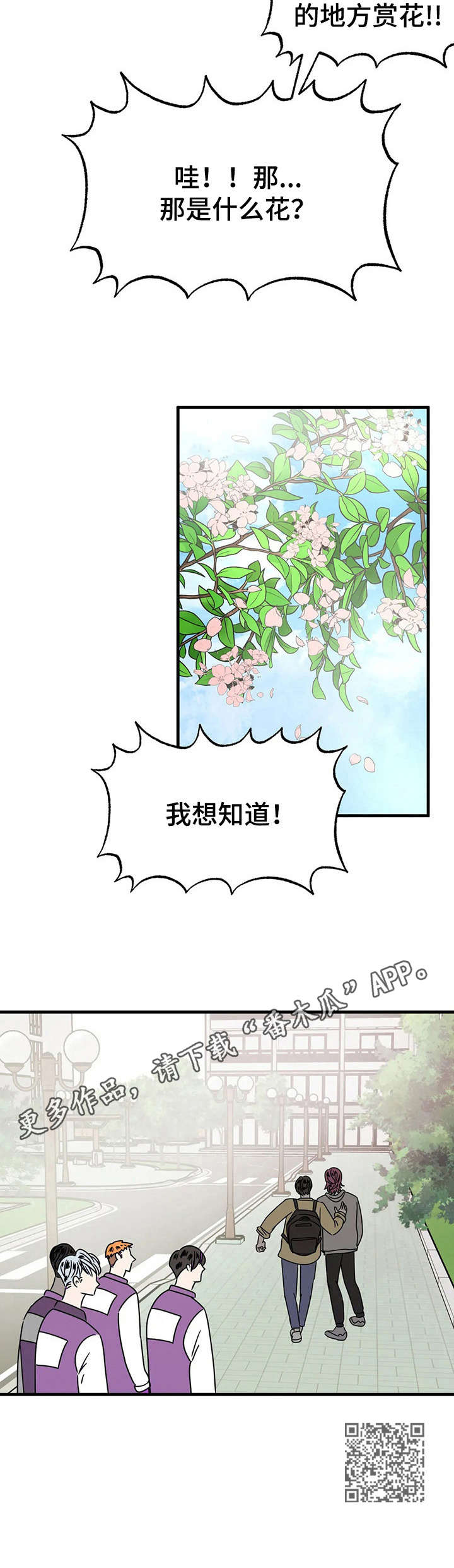 第24章： 赏花12