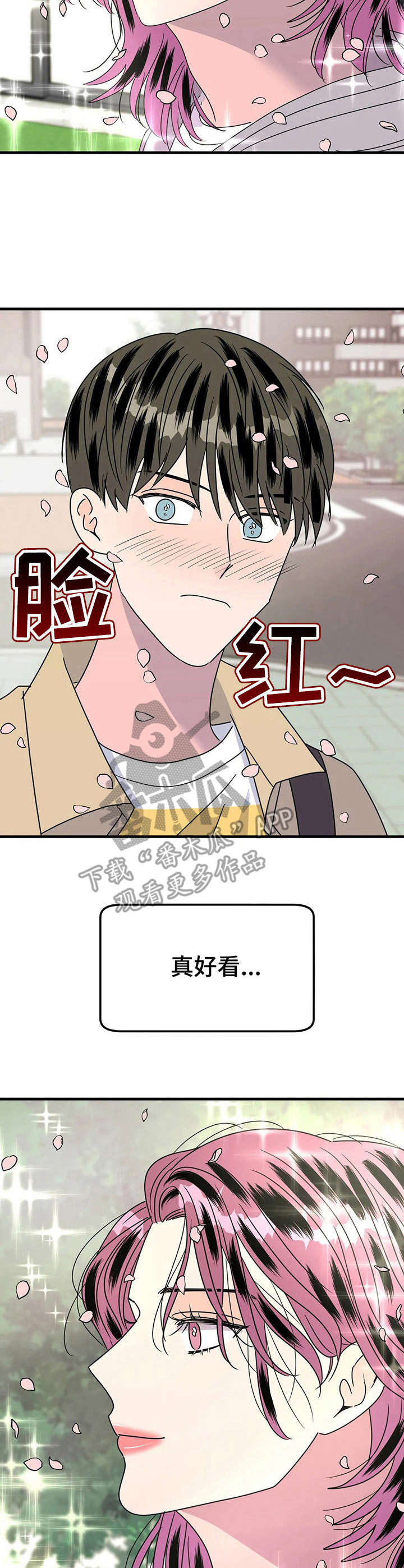 第24章： 赏花2