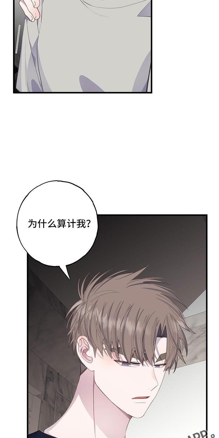 第90章：为什么算计我21