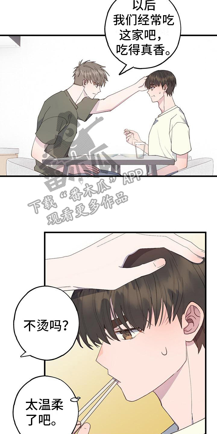 第21章：很多尝试13
