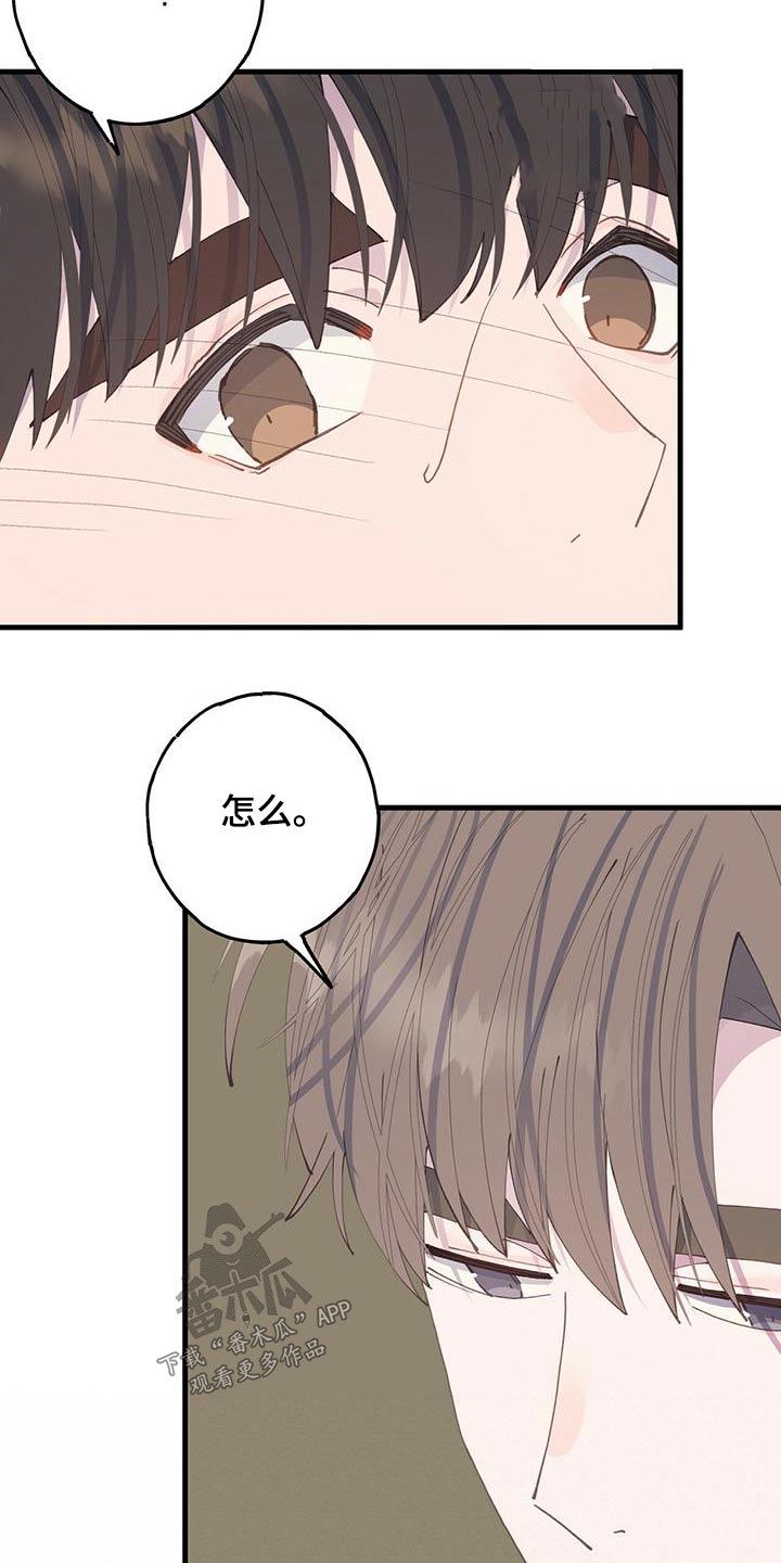 第56章：依旧16