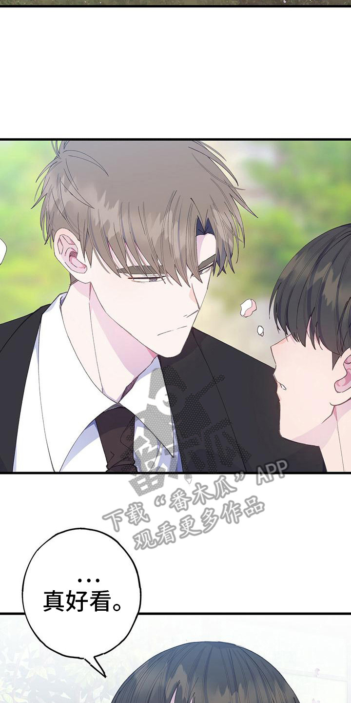 第33章：引人注目19