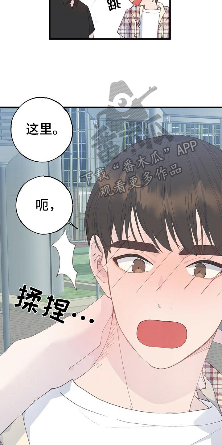 第18章：只有11