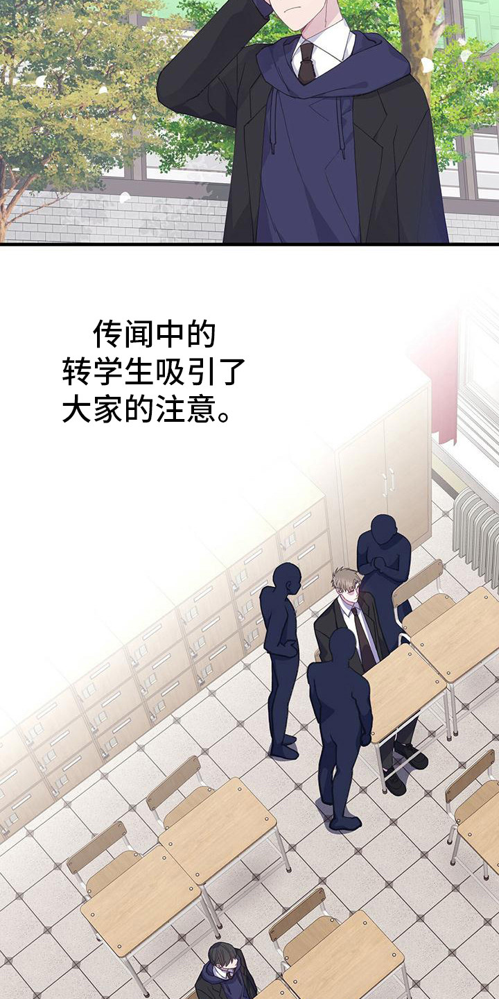 第33章：引人注目5