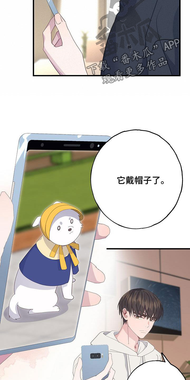第106章：随心所欲6