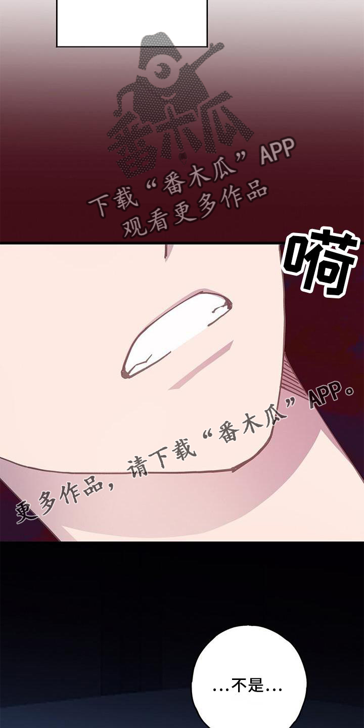 第63章：确认12