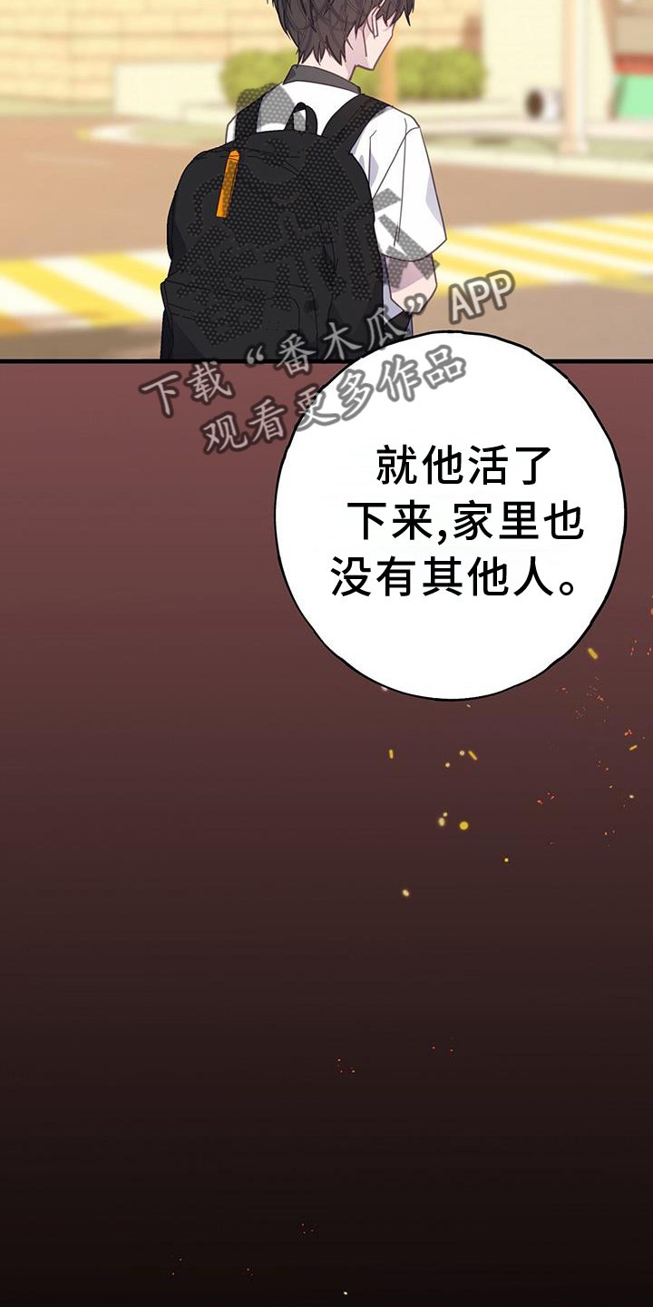 第116章：浮想19