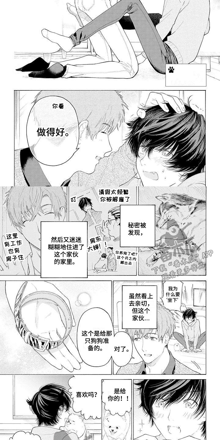 第4章：看门犬1
