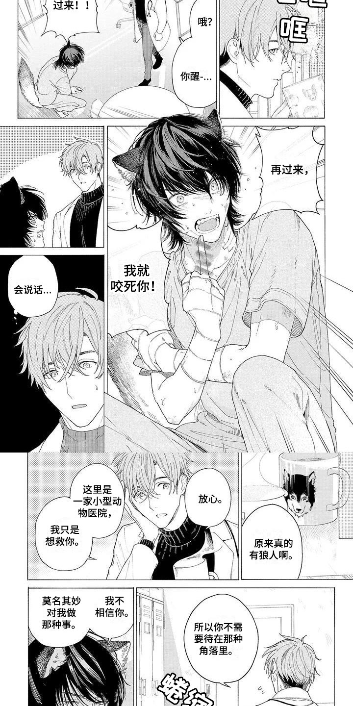 第2章：再次光临1