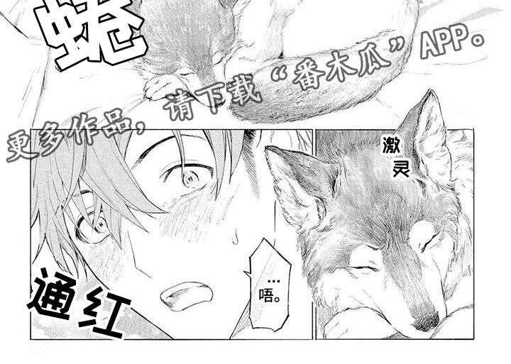 第10章：遛狗6