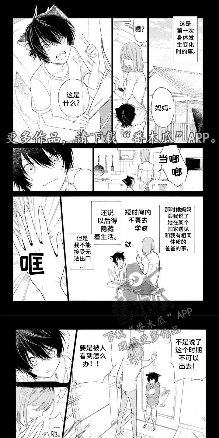 第14章：他的决定0