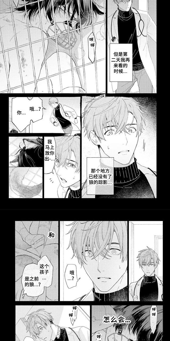 第1章：可爱的狼人4